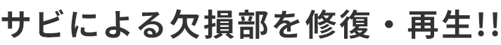 サビによる欠損部を修復・再生!!
